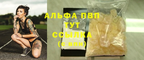 гашик Осинники