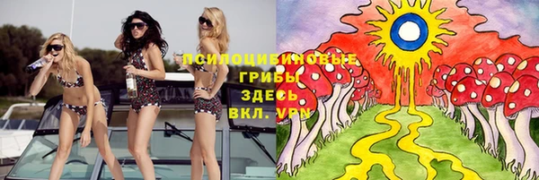 гашик Осинники