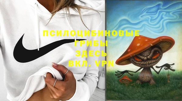 сатива Осташков