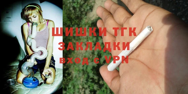 бошки Няндома