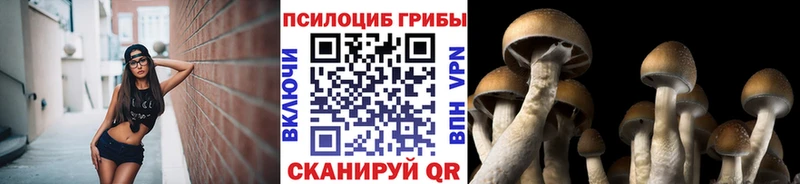 Псилоцибиновые грибы GOLDEN TEACHER  что такое   МЕГА онион  Приволжск 